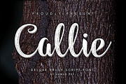 Callie - Modern Brush Font, a Script Font by Ahmad Pkp Studio (Thumbnail 1 of 9)