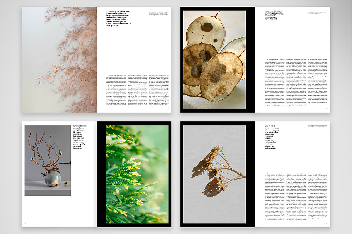 Minimal Nature-Inspired Magazine preview 3