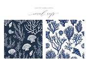 New! Summer + Fall Edition Bundle, a Seasonal Illustration by Isabelle Salem (Thumbnail 202 of 272)