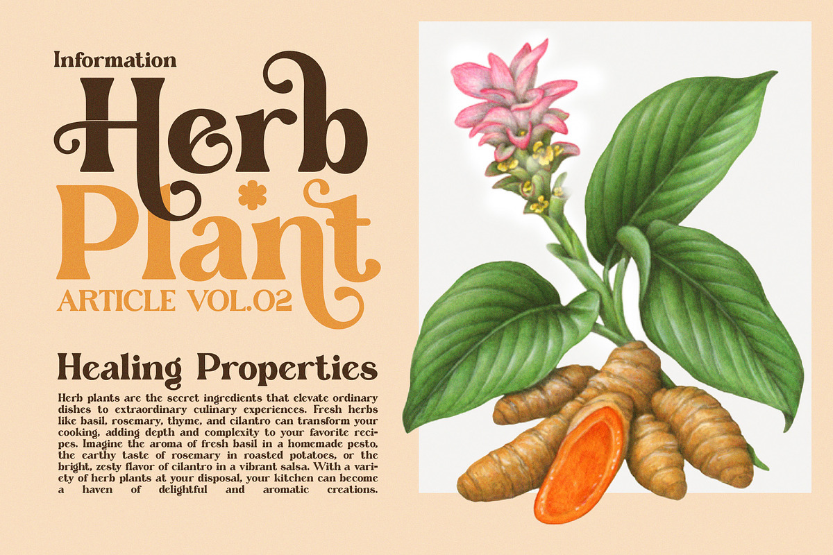Dake Roile Elegant Serif Font, a Serif Font by Perfectype (Photo 6 of 8)