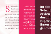 Famosa - Font Family, a Serif Font by TypeThis!Studio (Thumbnail 3 of 11)