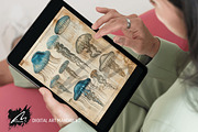 Jellyfish Anatomy Junk Journal Pages, an Animal Illustration by Digital Art Mahdiseño (Thumbnail 10 of 10)