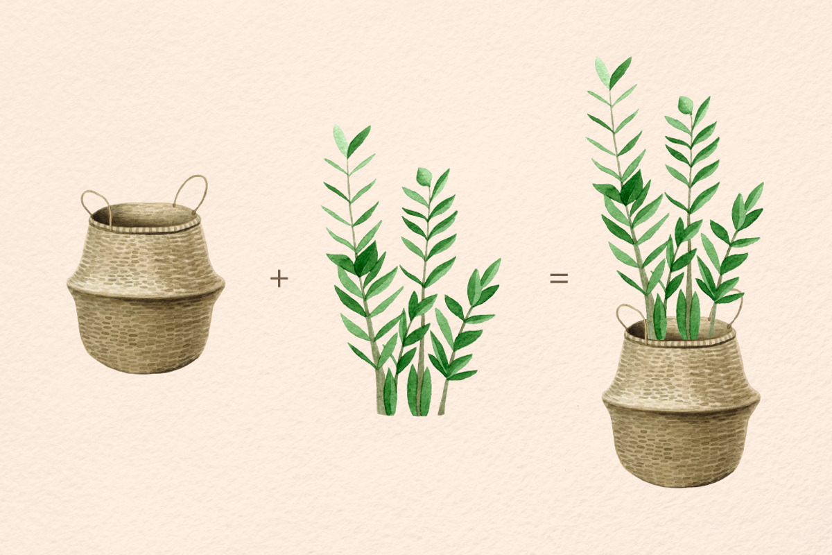 INDOOR PLANTS watercolor clipart set, a Decorative Illustration by MariArtySpace (Photo 5 of 8)