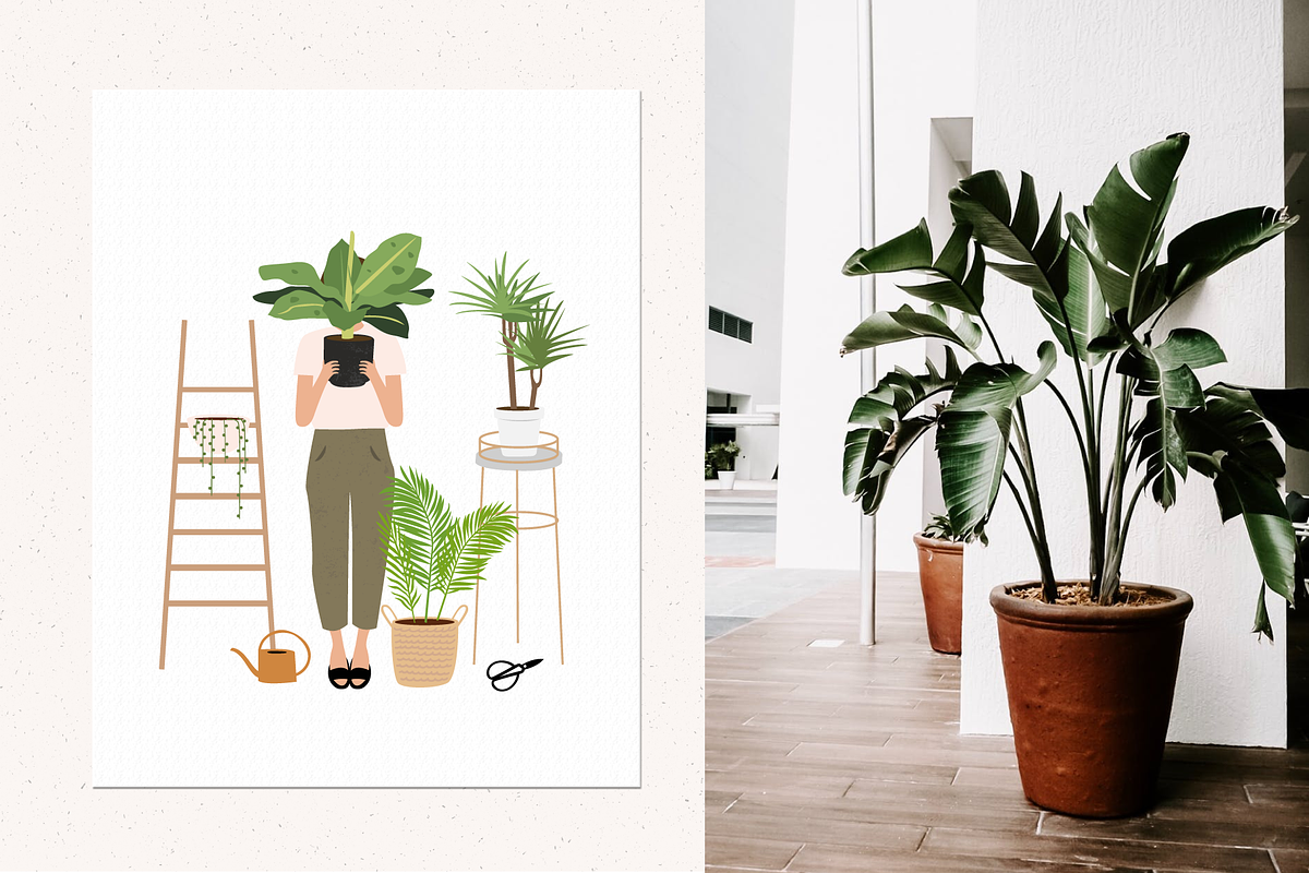 House plants | Urban jungle, a Decorative Illustration by AngelinaKovel (Photo 3 of 10)