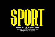 Raxong Speco - Bold Condensed Font, a Serif Font by QR Design Studio (Thumbnail 3 of 12)