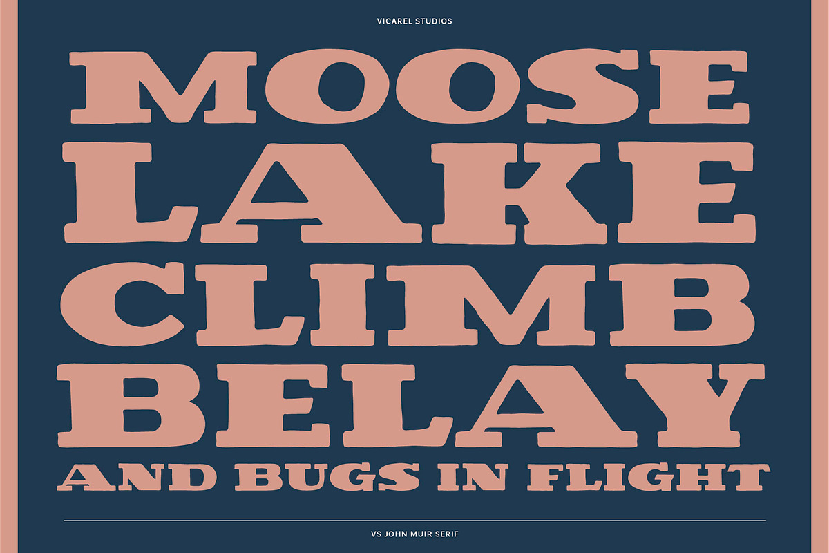VS John Muir Serif Vintage Font, a Slab Serif Font by Vicarel Studios (Photo 9 of 12)