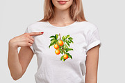 Oranges Watercolor Clipart, a Food Illustration by LekoArt (Thumbnail 10 of 10)