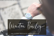Distoria Signature Script font, a Script Font by Zane Studio (Thumbnail 8 of 9)