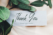 Senofeetha, a Script Font by Integritype Studio (Thumbnail 15 of 15)