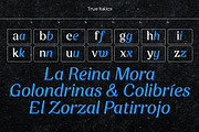 Zorzal | A serif-sans hybrid, a Serif Font by Pedroglifos (Thumbnail 4 of 11)