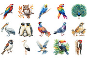 Watercolor Birds Png Bundle, an Illustration by Designking (Thumbnail 3 of 5)