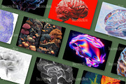 65 Human Brain Illustrations, an Object Graphic by Incomelion (Thumbnail 6 of 7)