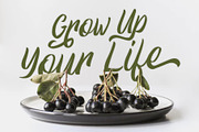 Athenic Clean Script, a Script Font by Good Java Studio (Thumbnail 3 of 6)