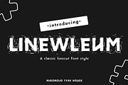 Linewleum Font Family, a Sans Serif Font by Migomojo Type House (Thumbnail 1 of 13)
