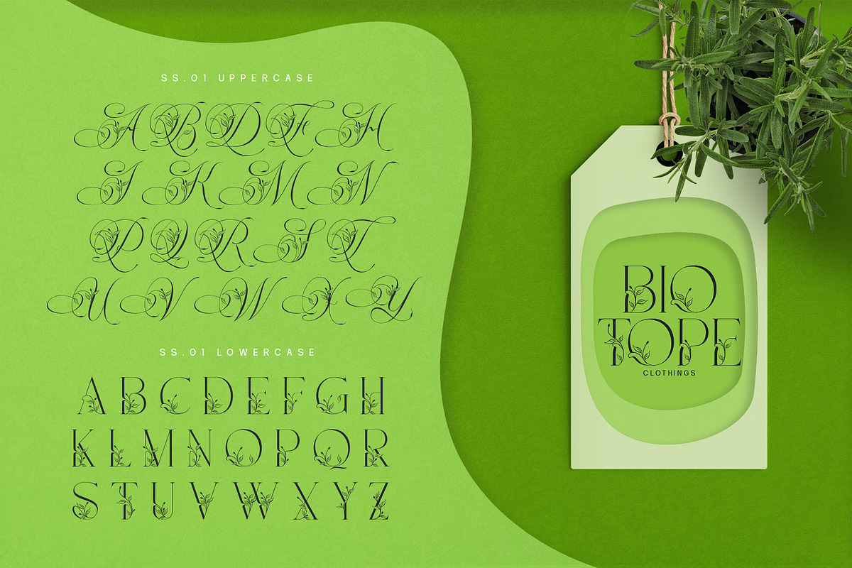 Narony Natural Typeface, a Sans Serif Font by alit design (Photo 6 of 20)