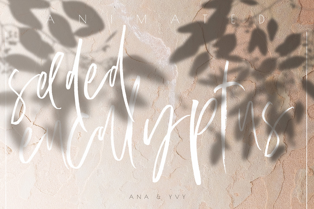 Animated Shadow & Light Overlay, a Texture Graphic by ana & yvy (Photo 3 of 12)