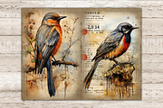 Vintage Birds Junk Journal Pages, an Animal Illustration by GlamArtZhanna (Thumbnail 7 of 9)