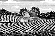 Midwest Farm and Barn, a Food Illustration by blue67sign (Thumbnail 4 of 4)