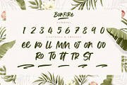 Bonfire - Modern Brush Font, a Handwritten Font by Alpaprana (Thumbnail 11 of 13)