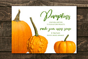 Orange Pumpkins - Realistic MockUps, an Object Graphic by Turning Moss (Thumbnail 2 of 2)