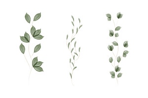 Delicate green watercolor leaves set, an Object Illustration by okskukuruza