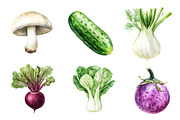 Watercolor Vegetables Clipart, an Illustration by CreationArt (Thumbnail 4 of 5)