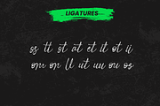 Brestille - Brush Script Font, a Handwritten Font by Favo Write (Thumbnail 12 of 13)