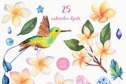 SALE! Tropical Blooming, an Illustration by Irina Diasli (Thumbnail 2 of 6)