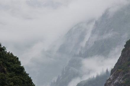 Mist mountains and forest featuring mist, fog, and clouds
