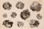 Vintage Maps. Stamp Brushes, a Brush Add-On by Julia_Raketic (Thumbnail 10 of 15)