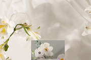 FLORAL WINTER BOX Watercolor Bundle, a Seasonal Illustration by Muse Artist (Thumbnail 5 of 95)