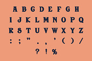 Seven Years, a Blackletter Font by Fourteen Letter (Thumbnail 7 of 8)