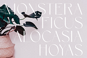 Rockwell - Sans Serif Ligature Font, a Sans Serif Font by Surplus Type Co (Thumbnail 4 of 7)