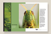 Magazine Template 10, a Magazine Template by pmvch (Thumbnail 7 of 12)