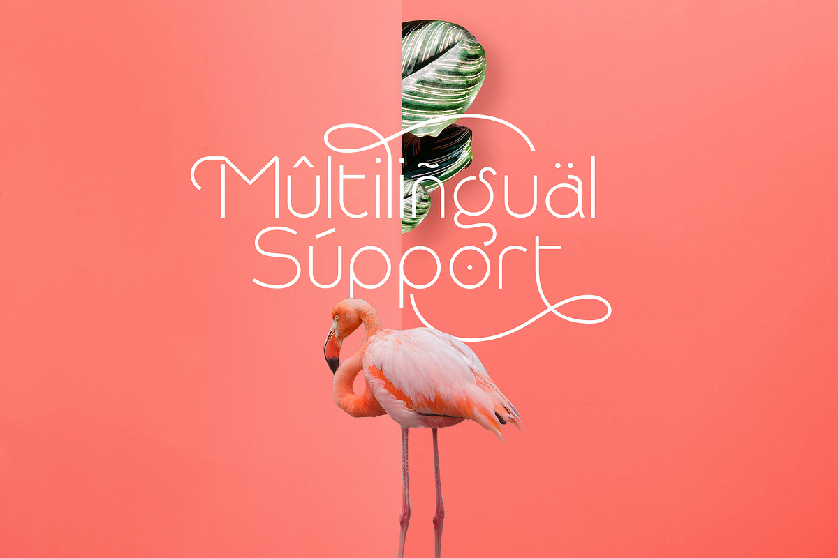 Rollgates Modern Sans, a Sans Serif Font by Cotbada_studio (Photo 9 of 10)