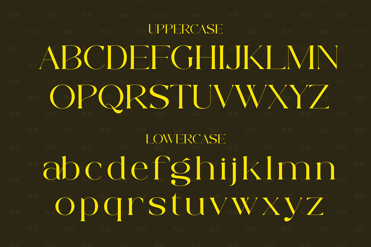 Rakliton - Classic Serif Font, a Serif Font by Muflieart (Photo 3 of 12)
