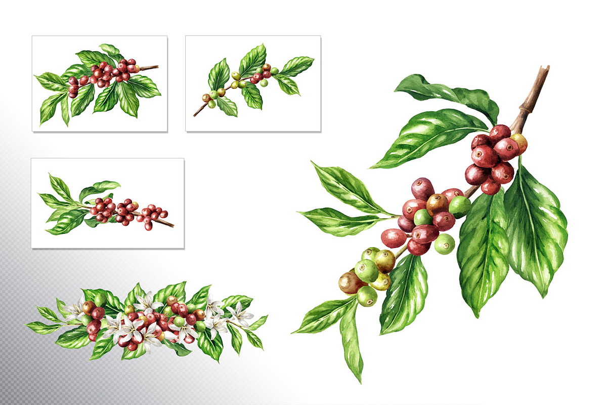 Coffee Time. Watercolor hand drawn, a Food Illustration by Daria Ustiugova (Photo 14 of 18)