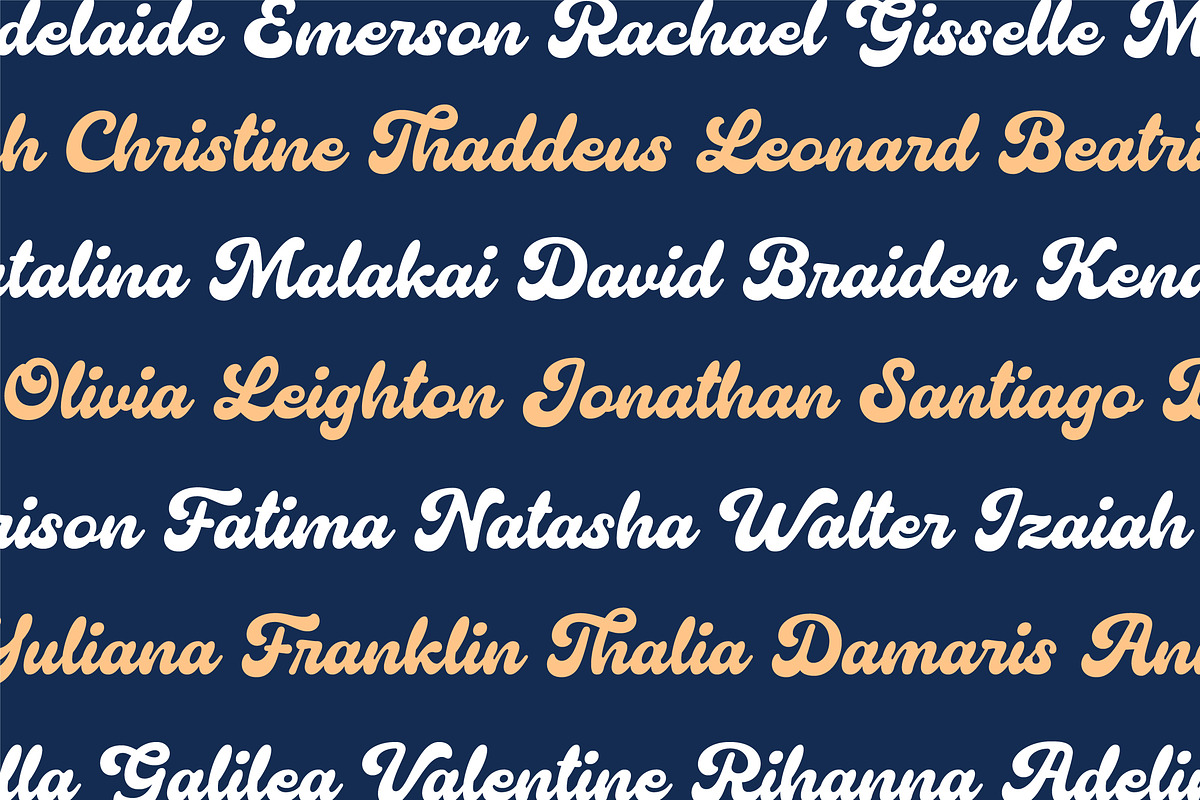 Remora Camilla - Font Duo, a Script Font by Grezline Studio (Photo 7 of 14)