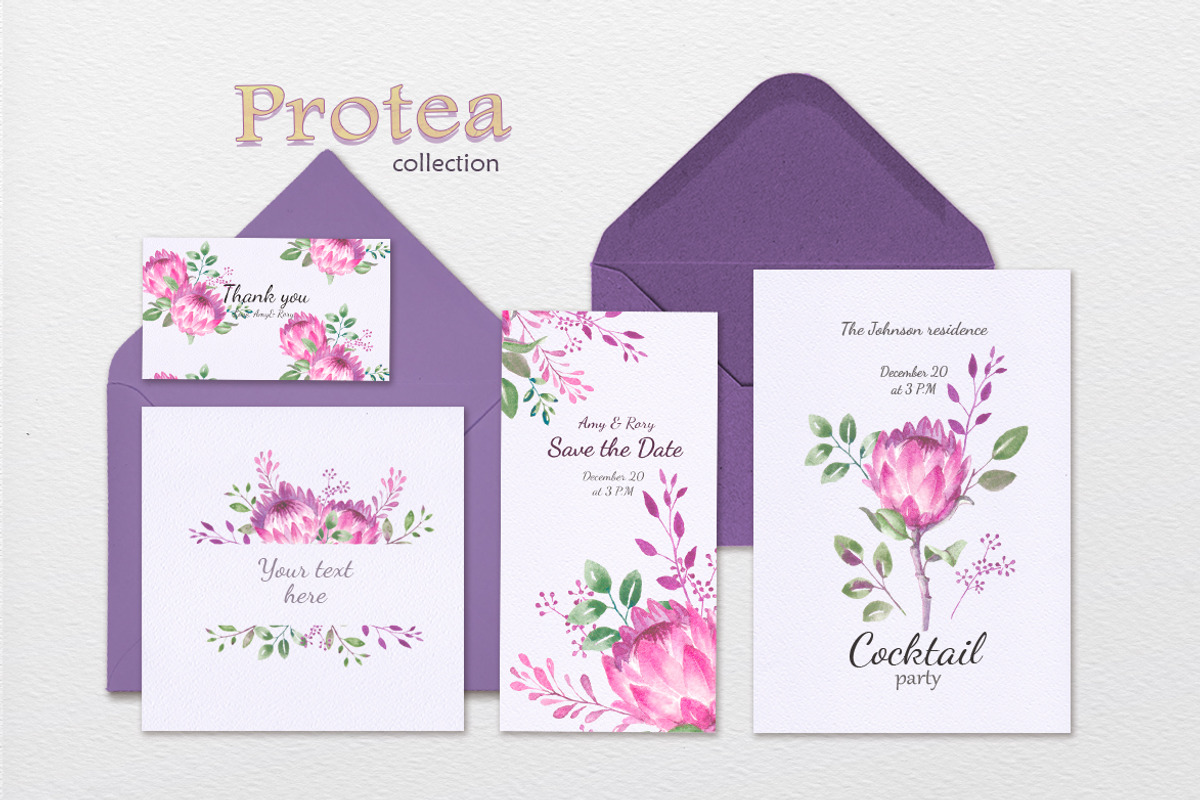 Protea collection, an Illustration by oKOLOstyle (Photo 4 of 6)