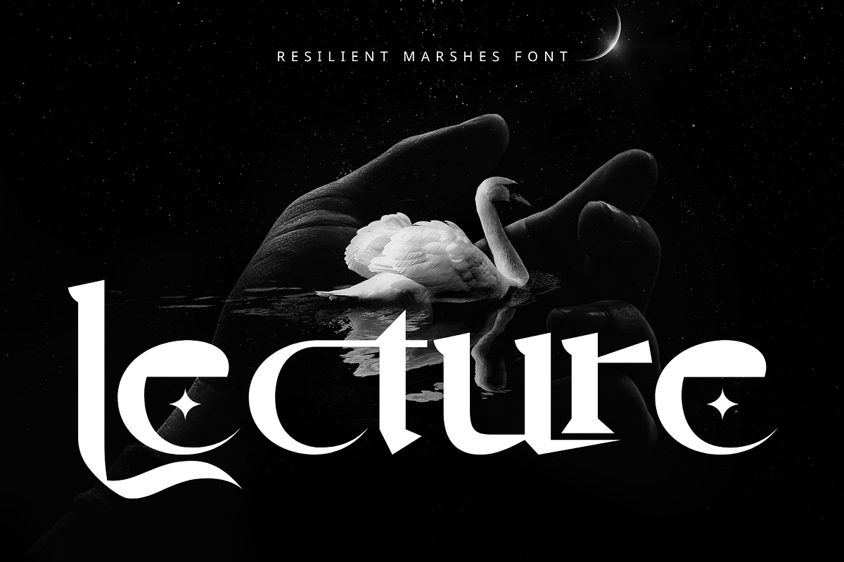 Resilient Marshes - Fantasy Font, a Serif Font by 177Studio (Photo 2 of 8)