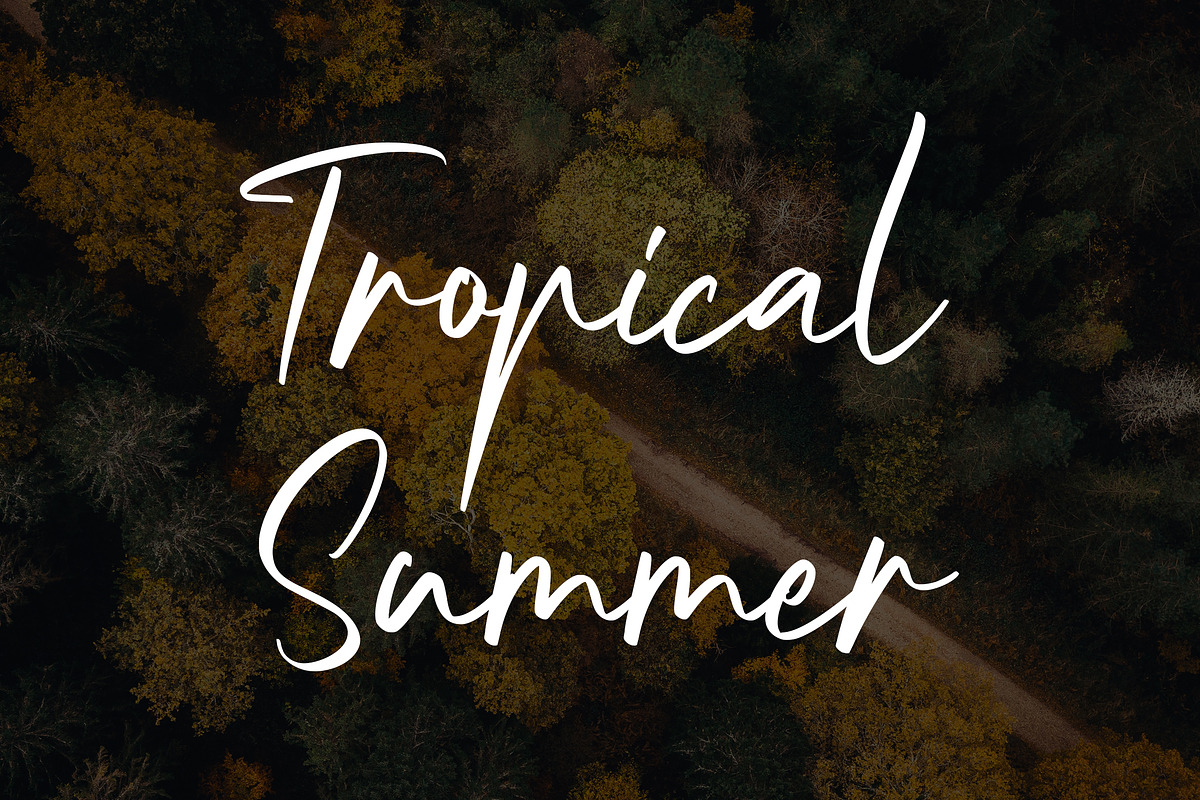 Nightlife, a Handwritten Font by HATFSTUDIO (Photo 2 of 8)