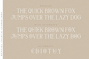 Wedding Chyntia Oesman, a Handwritten Font by Struggle Studio (Thumbnail 8 of 13)