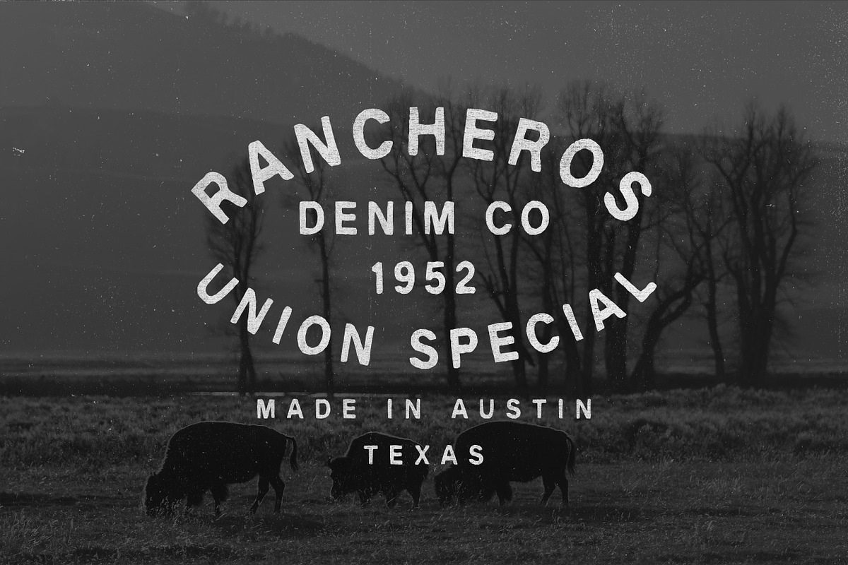 Wrangler & Extra, a Handwritten Font by Davide Bassu (Photo 13 of 18)