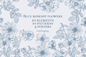 Blue rosehip flowers, a Decorative Illustration by LanaDzi