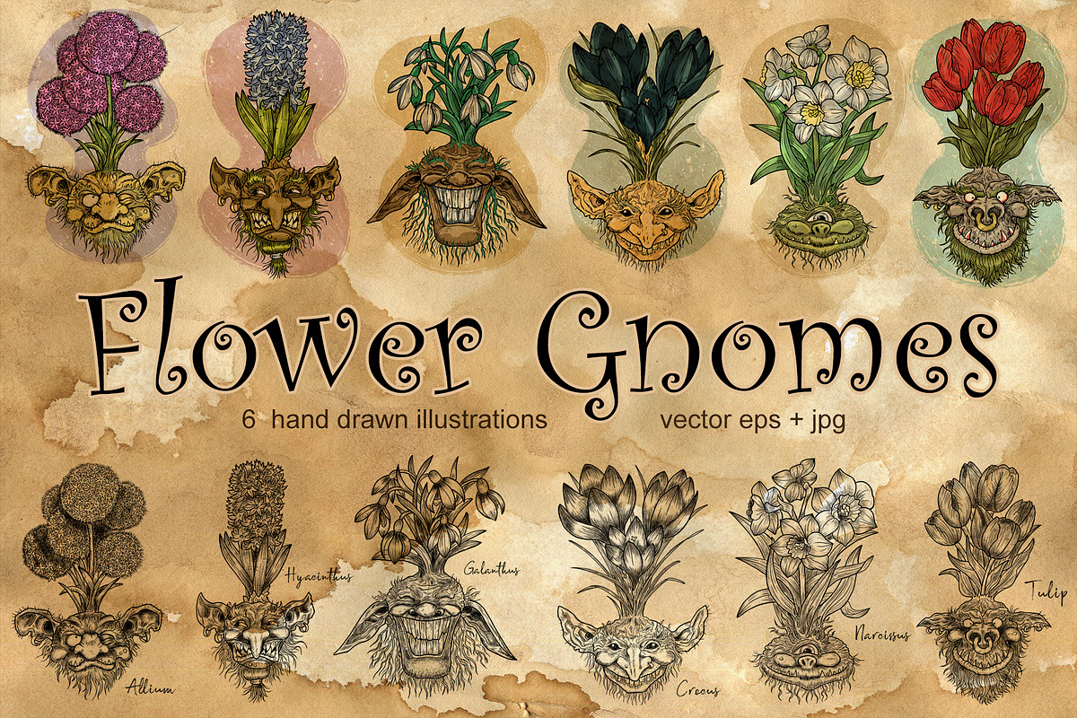Flower Gnomes, an Object Graphic by Samiramay (Photo 1 of 5)