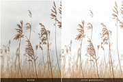 BOHEMIAN VIBES LIGHTROOM PRESETS, an Action Add-On by Nes Design Co (Thumbnail 10 of 11)