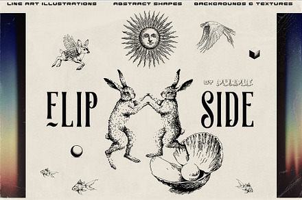 Flip Side collection, an Object Graphic by Purple