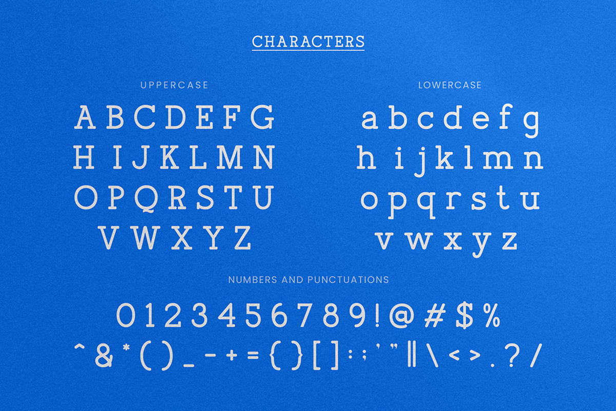 Column Modern Soft Slab Serif Font, a Slab Serif Font by Vadovastd (Photo 2 of 7)