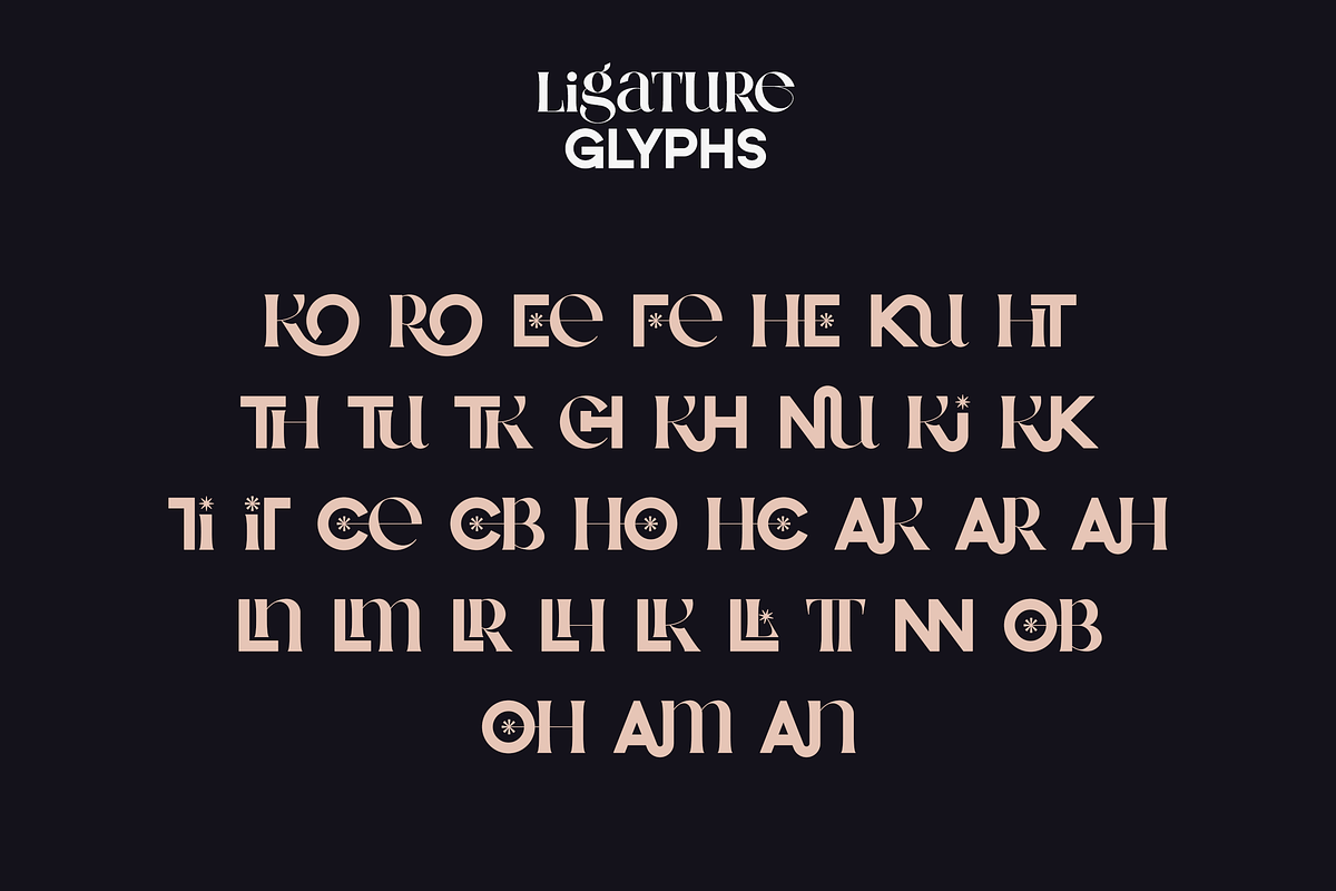 Neat Type - elegant fusion font, a Serif Font by VP Fonts (Photo 10 of 13)