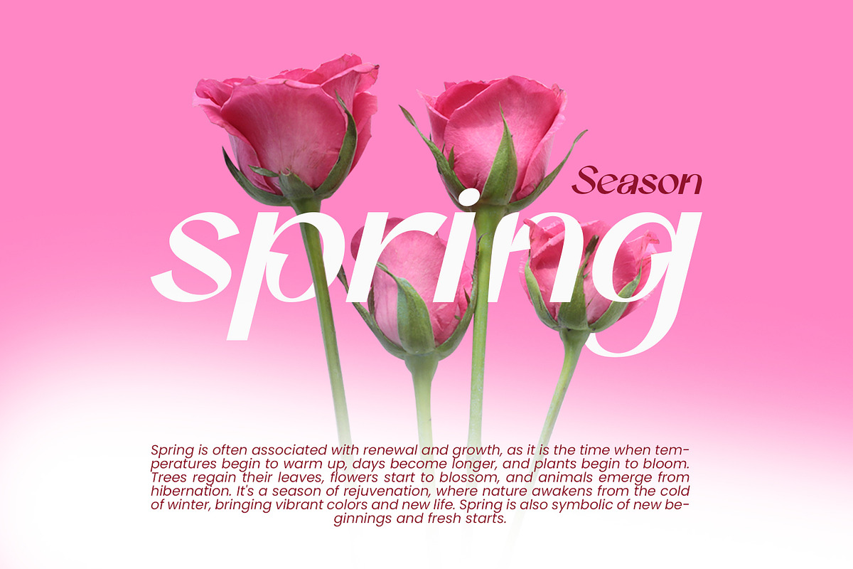Betshaid - Stylish Display Font, a Sans Serif Font by Favo Write (Photo 4 of 12)